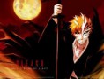 /album/galeria-de-fotos-bleach/bleach-365-jpg/